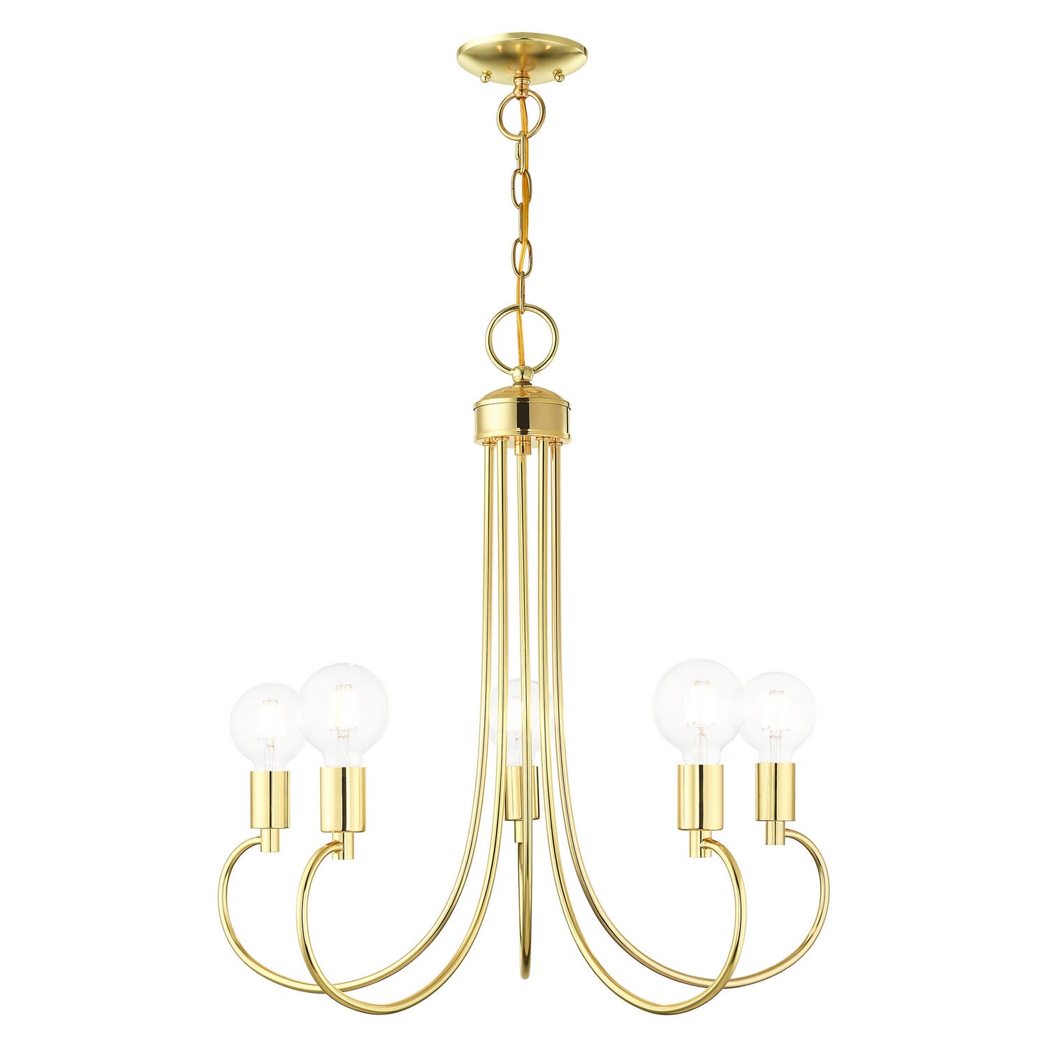 Bari 5-Light Chandelier in Polished Brass