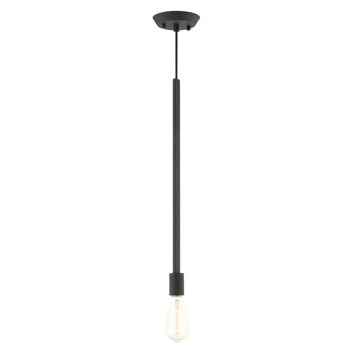 Prague 1-Light Pendant in Black