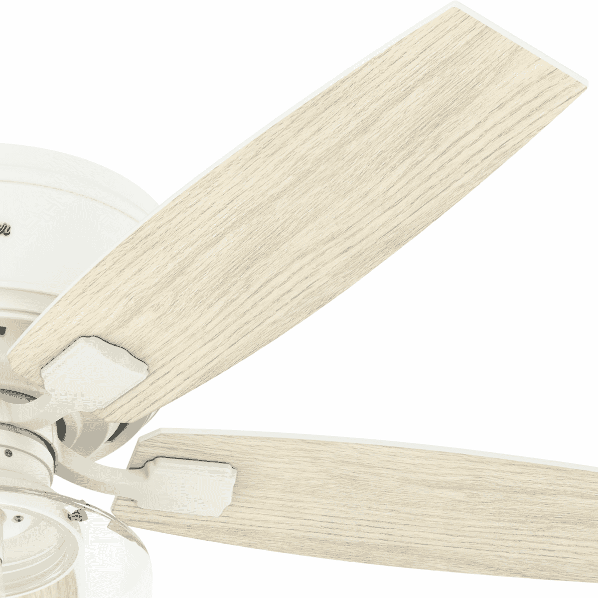 Hunter Bennett 52" Indoor Flush Mount Ceiling Fan in Matte ...