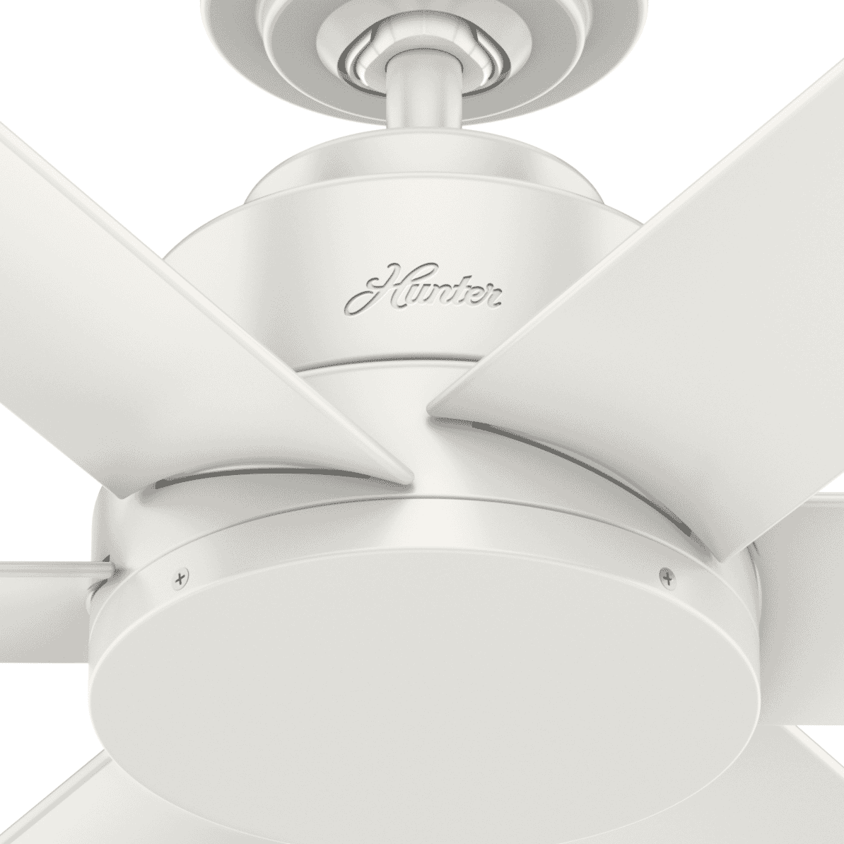Hunter Kennicott 44" Indoor/Outdoor Ceiling Fan in Fresh White