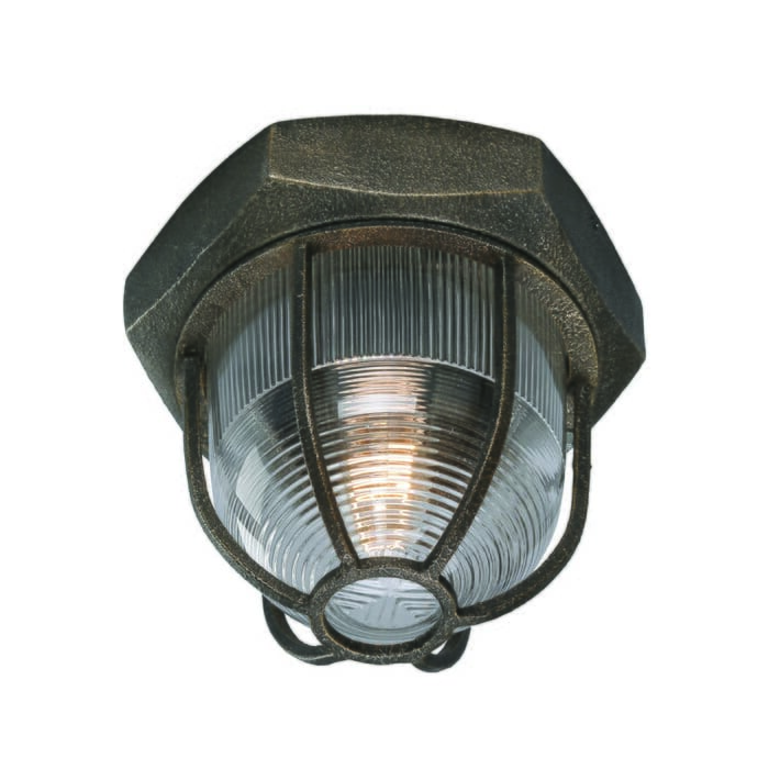 Troy Acme Ceiling Light in Aged Silver Troy Acme Ceiling Light in Aged Silver
