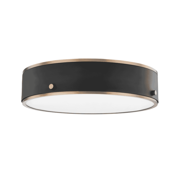 Troy Eli Ceiling Light Troy Eli Ceiling Light