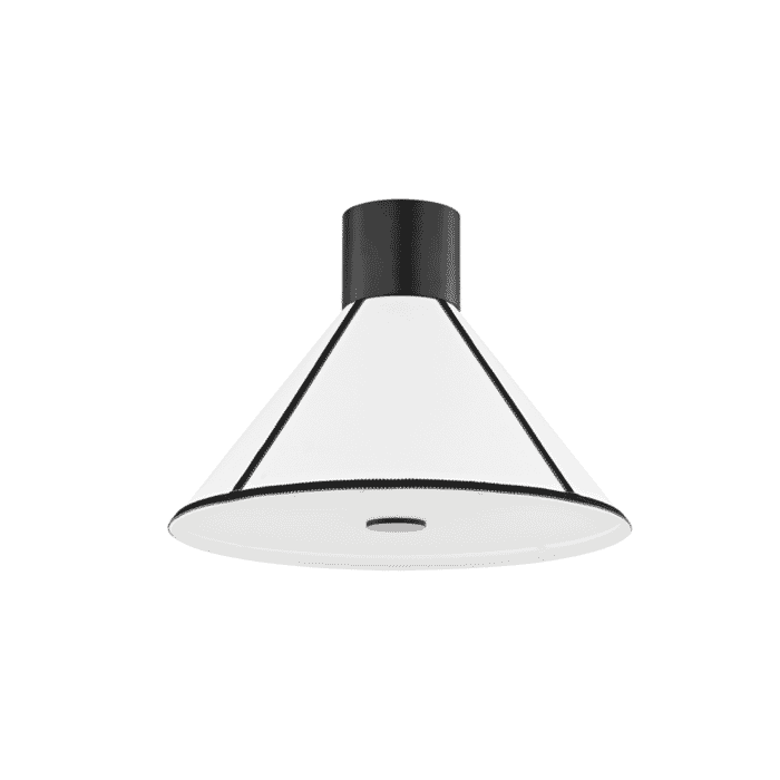 Troy Forrest Ceiling Light Troy Forrest Ceiling Light