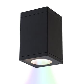 WAC Cube Arch Color Changing Ceiling Light in Black