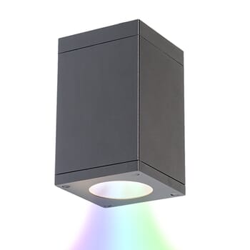 WAC Cube Arch Color Changing Ceiling Light in Graphite