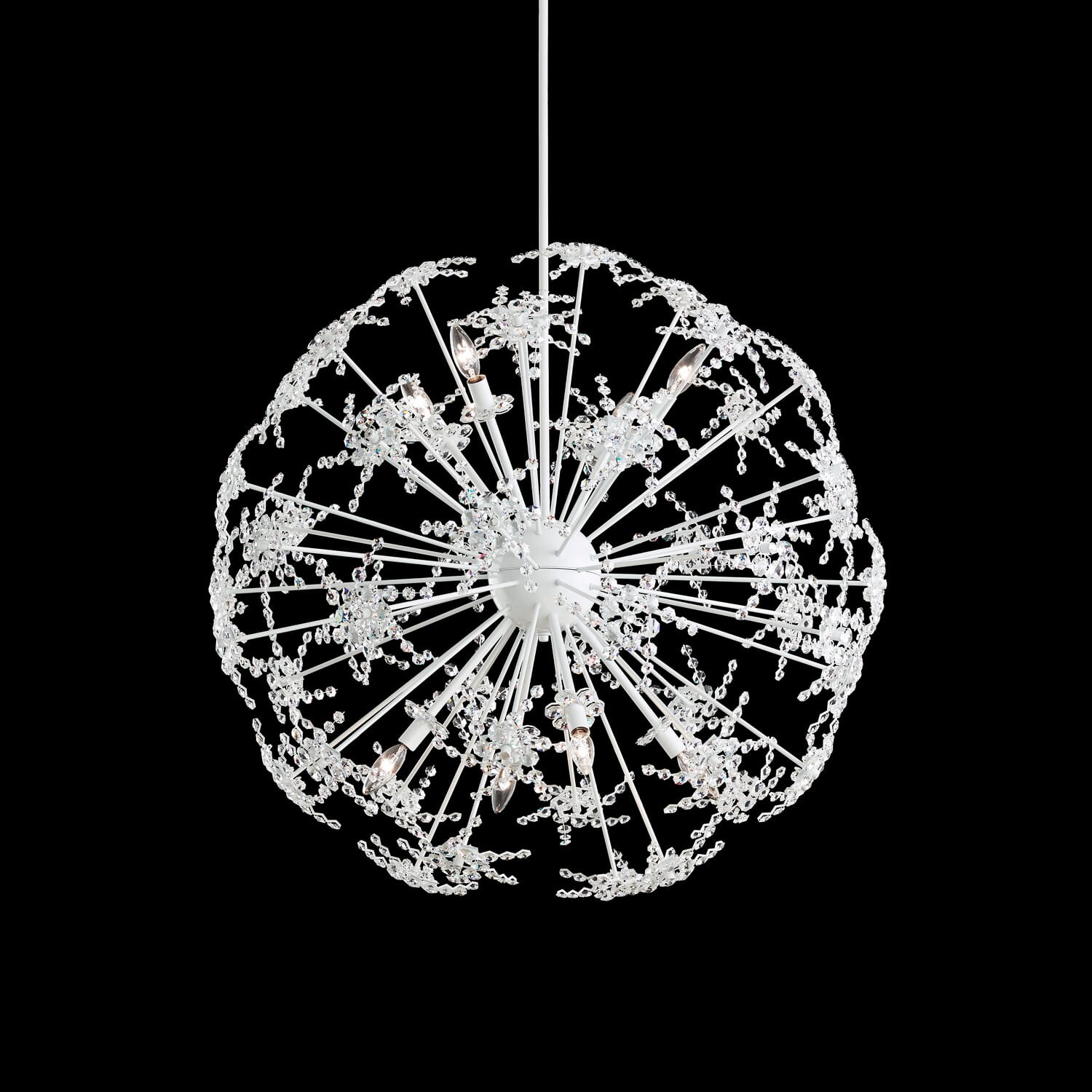 Esteracae 8-Light Pendant in Black