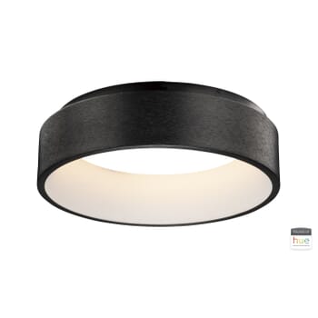 ET2 Lighting IQ 17.75" LED Ceiling Light with Philips Hue in Brushed Black