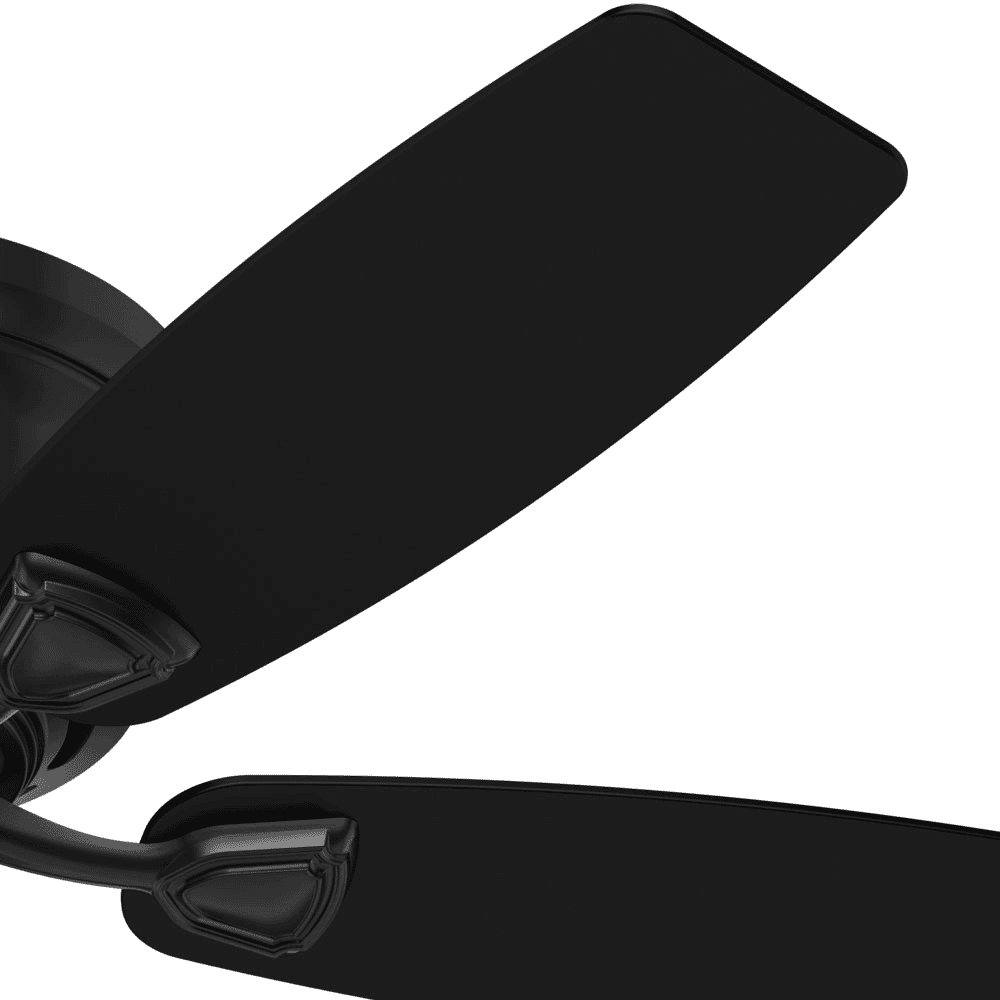 Hunter Fans Sea Wind Low Profile 48