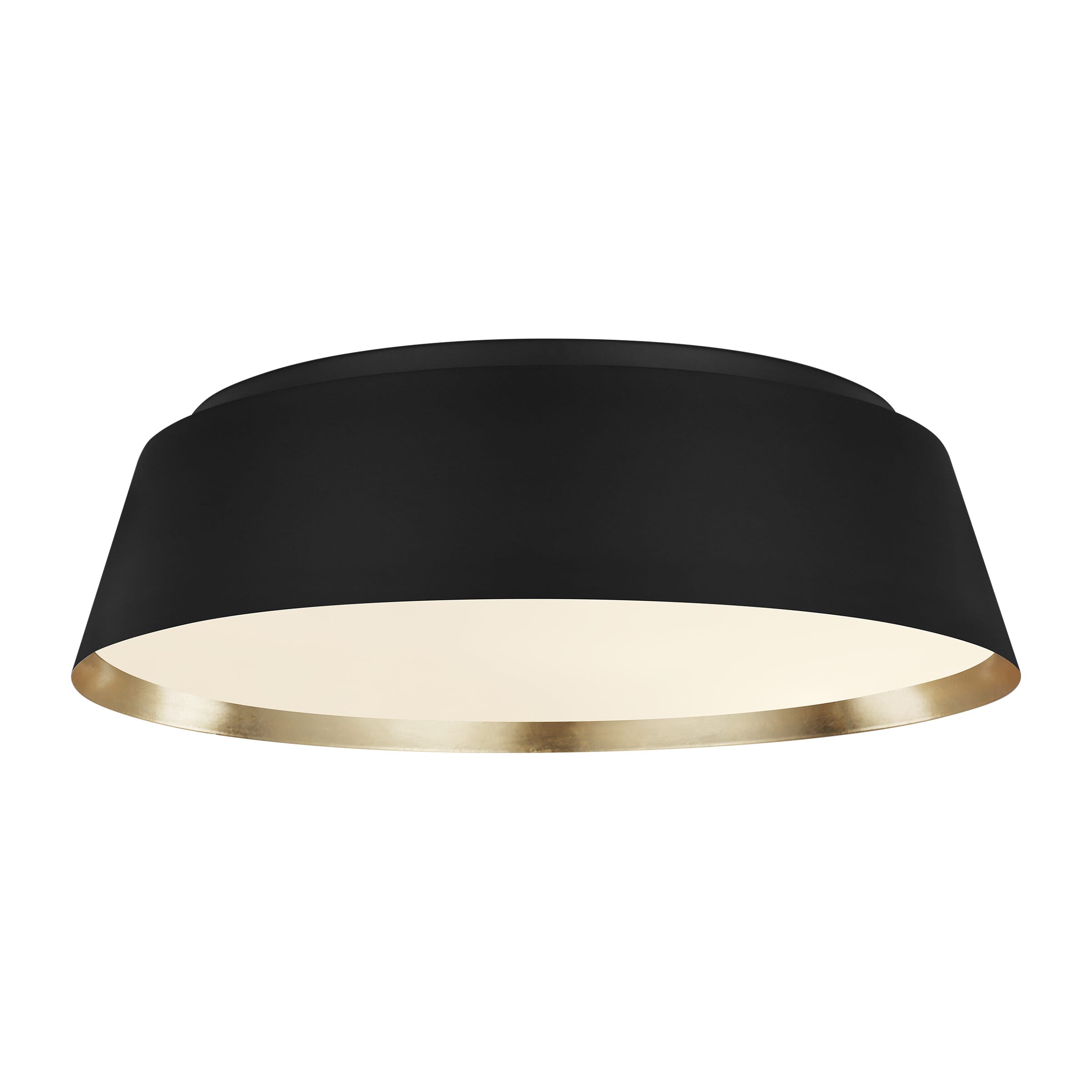 Generation Lighting Asher 4-Light Ceiling Light in Midnight Black by Ellen Degeneres