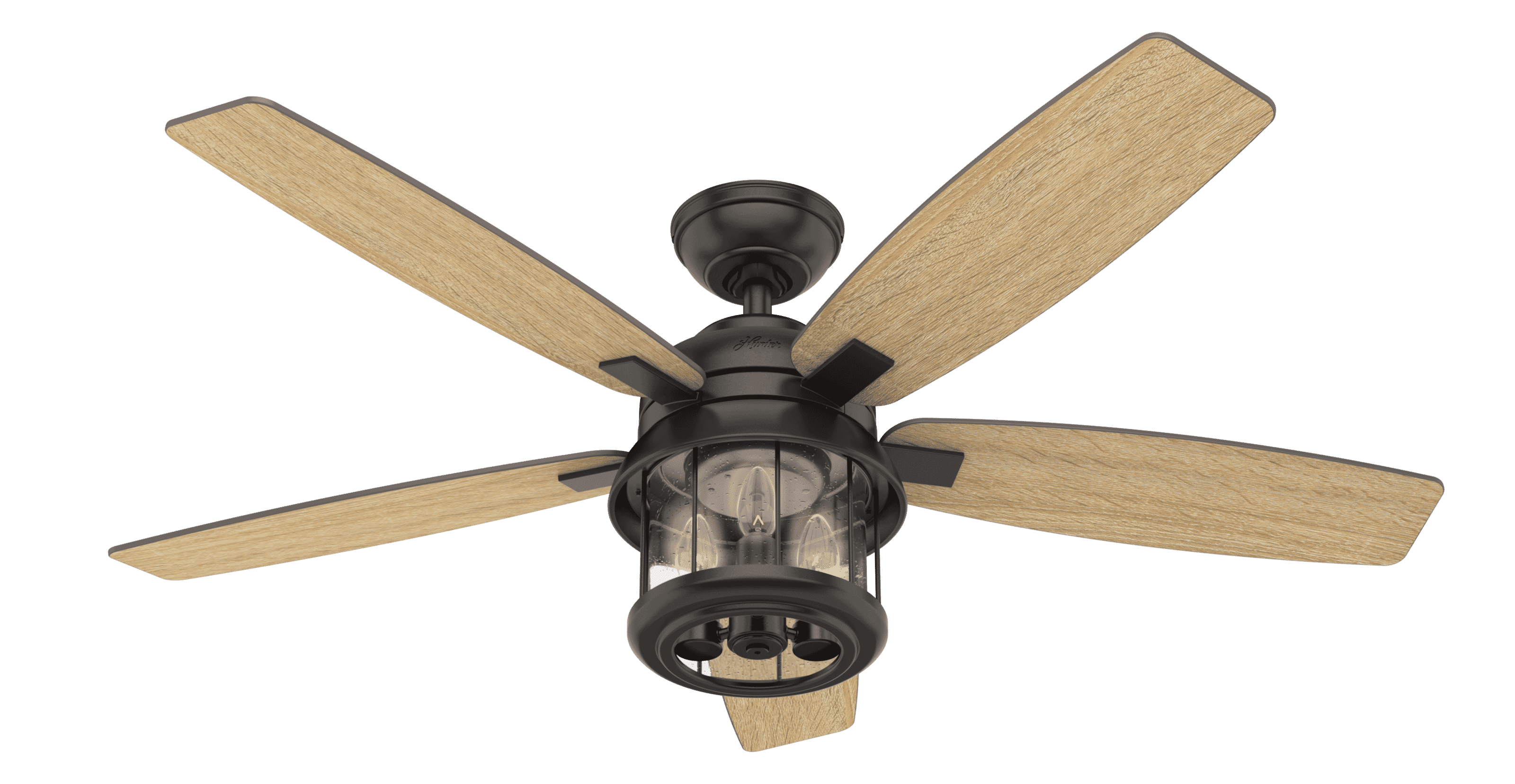 Coral Bay Indoor and Outdoor Ceiling Fan