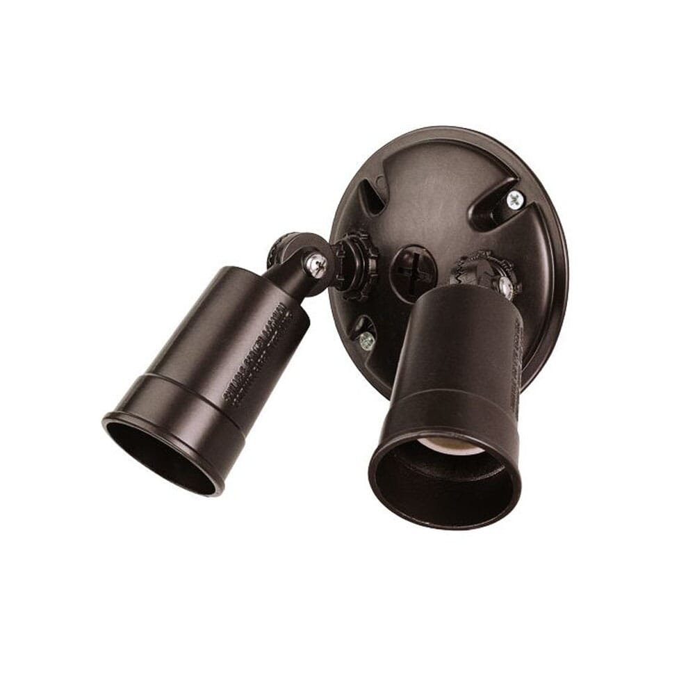 Architectural Bronze Two Light Floodlight from the Floodlights Collection