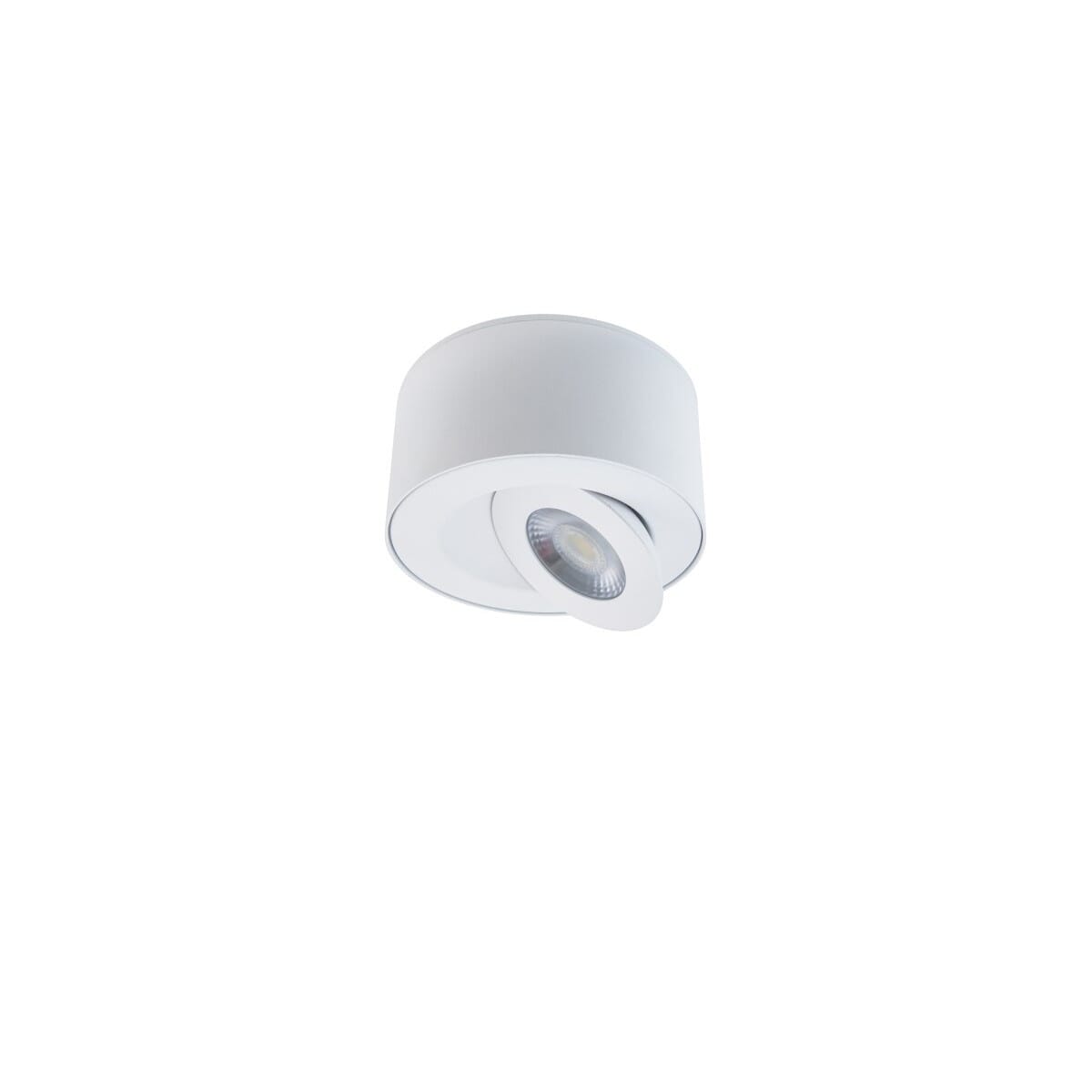White LED Outdoor Flush Mount from the I Spy Collection