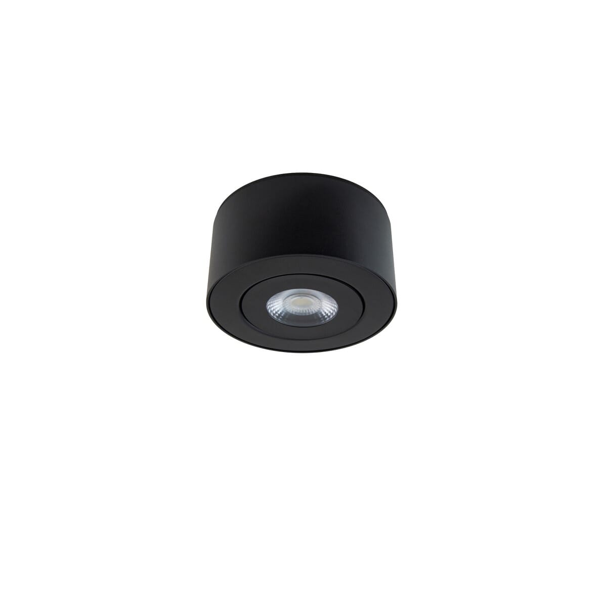 Black LED Outdoor Flush Mount from the I Spy Collection