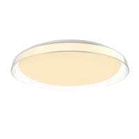 Hampton LED Flush Mount in Clear