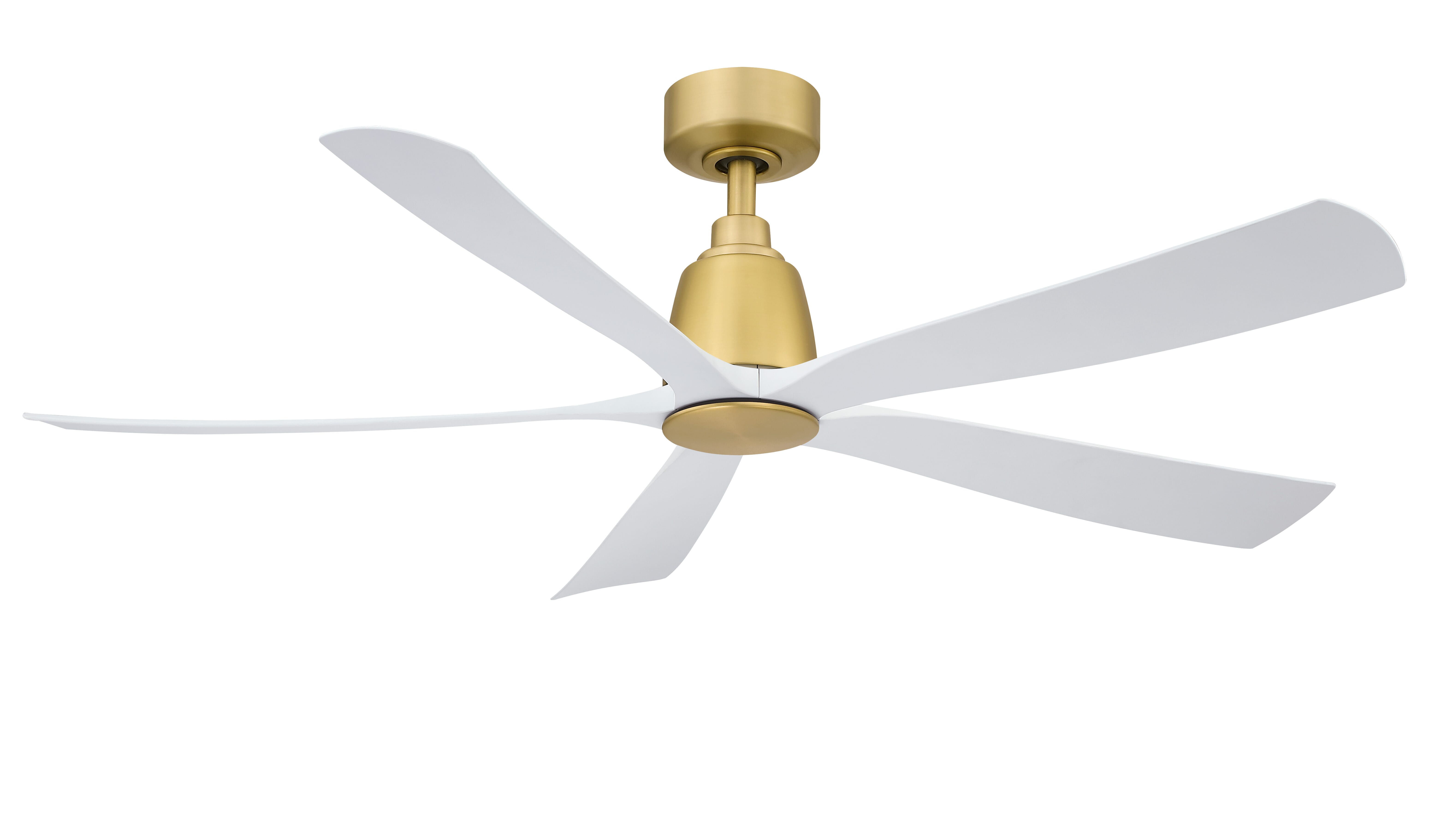 Fanimation Kute 52" Indoor Ceiling Fan in Brushed Satin Brass