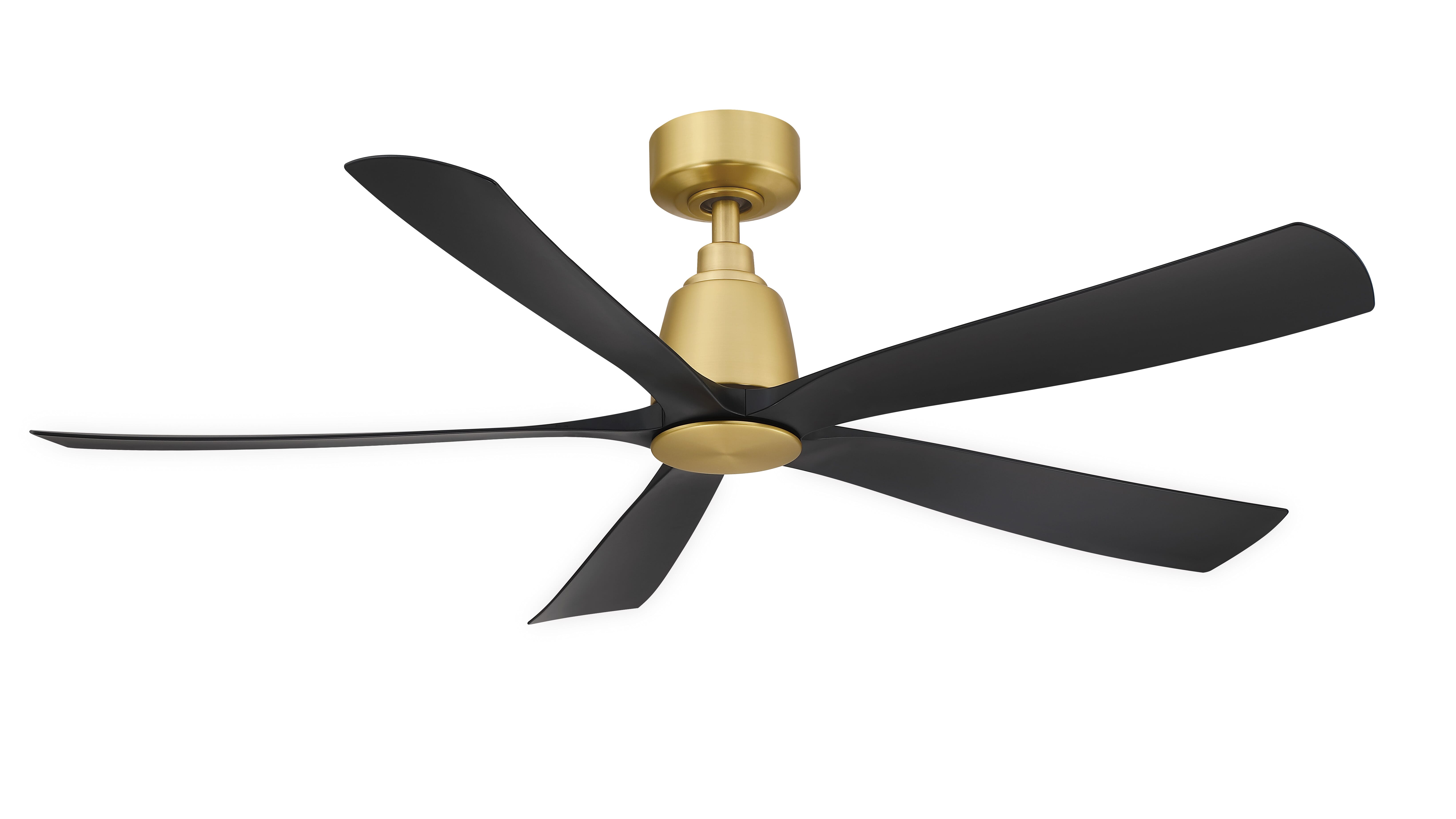 Fanimation Kute 52" Indoor Ceiling Fan in Brushed Satin Brass