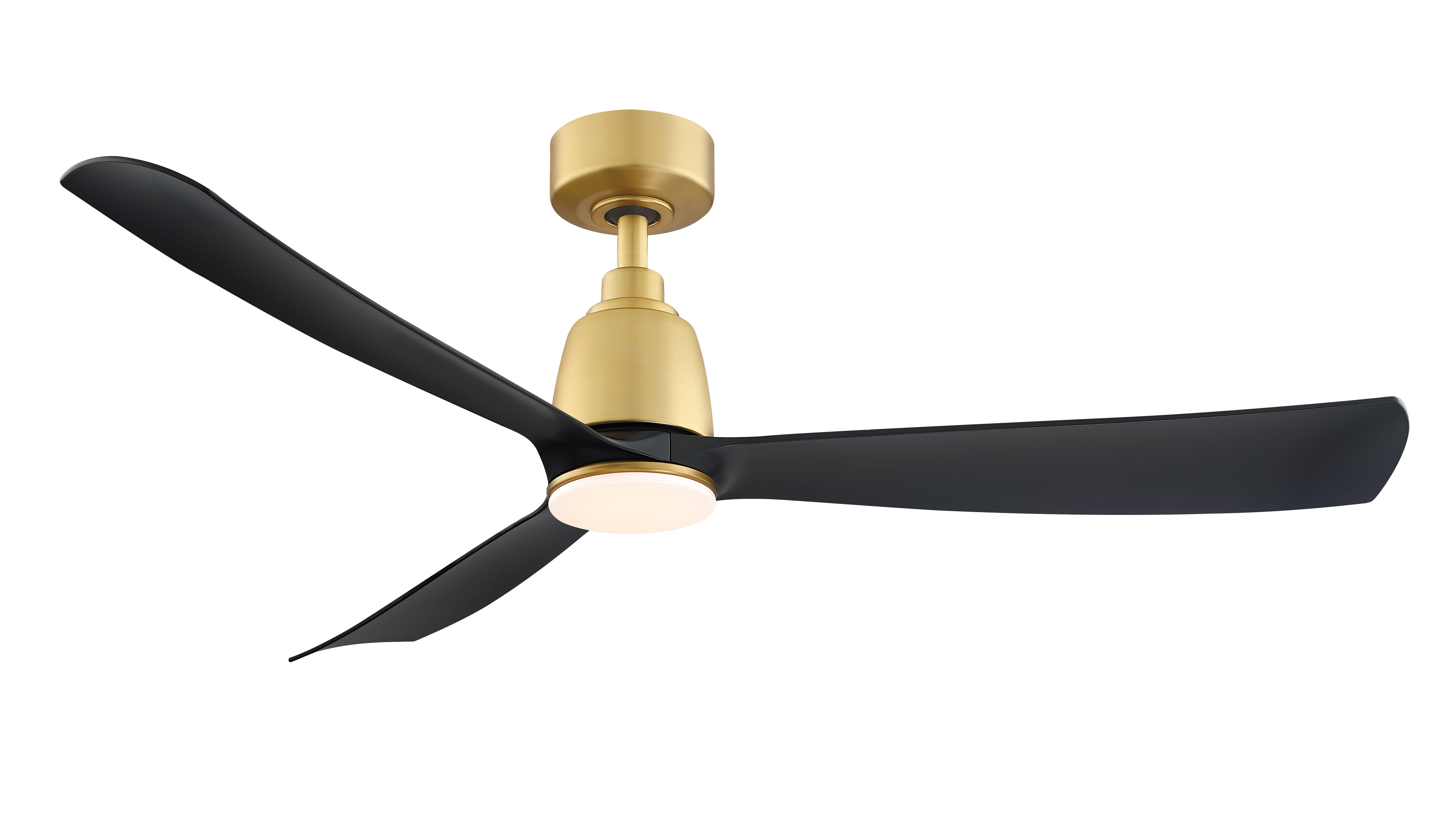 Fanimation Kute 52" Indoor Ceiling Fan in Brushed satin Brass