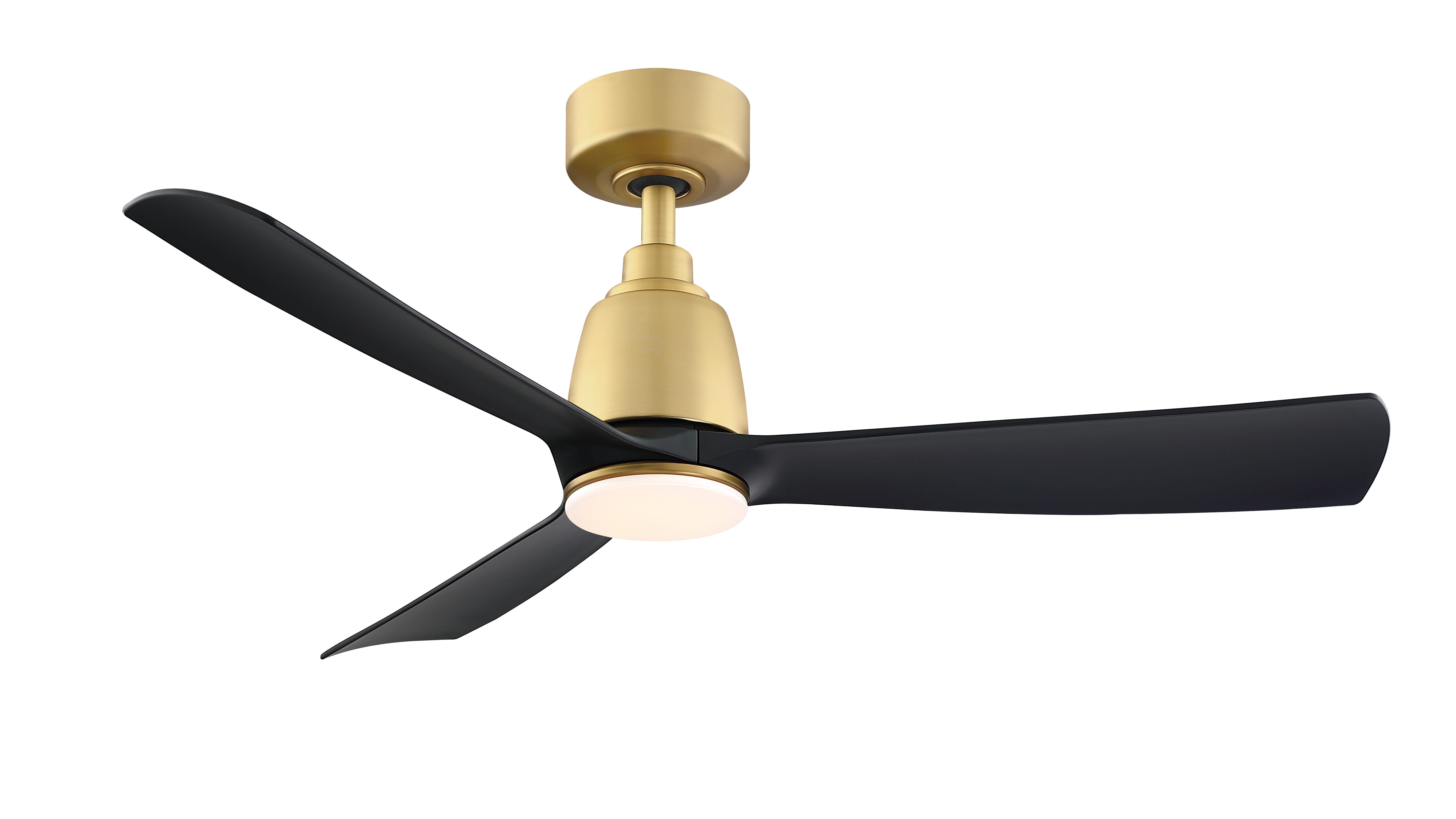 Fanimation Kute 44" Indoor Ceiling Fan in Brushed Satin Brass