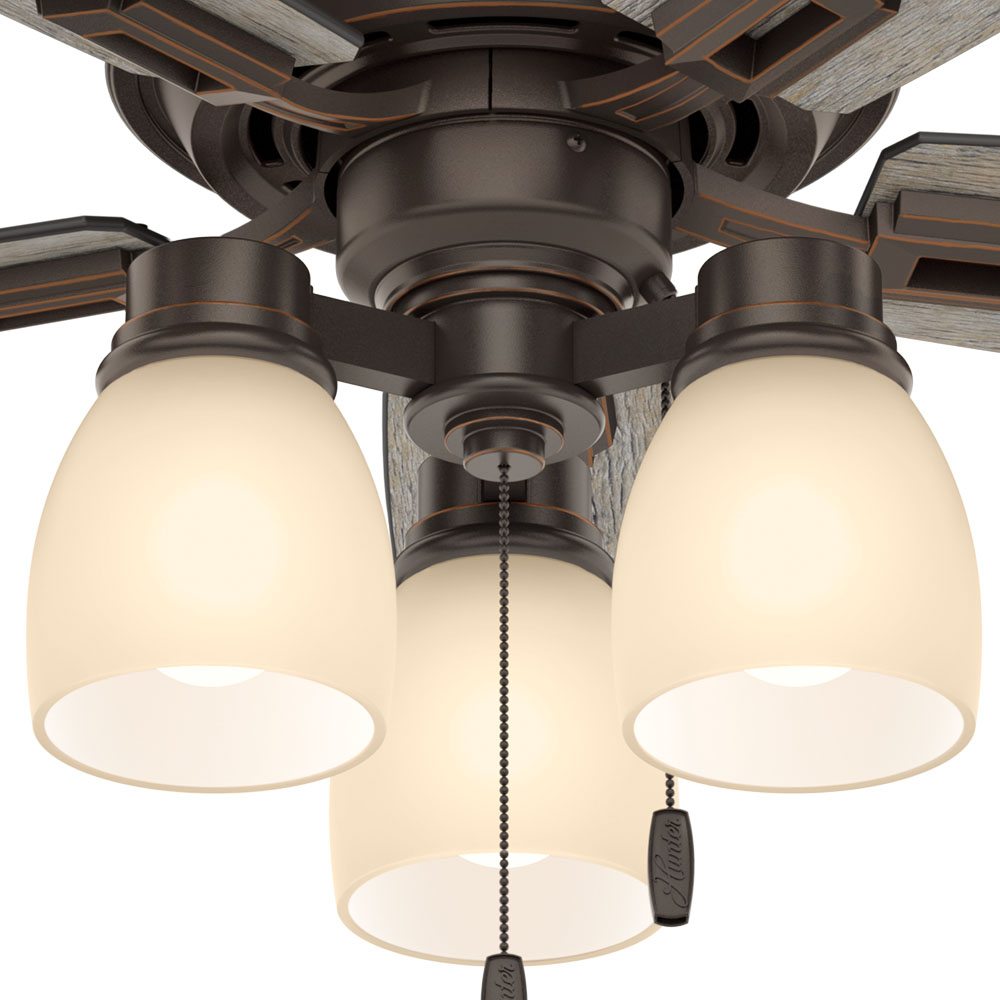 Hunter Donegan 3-Light 44" Indoor Ceiling Fan in Onyx Bengal