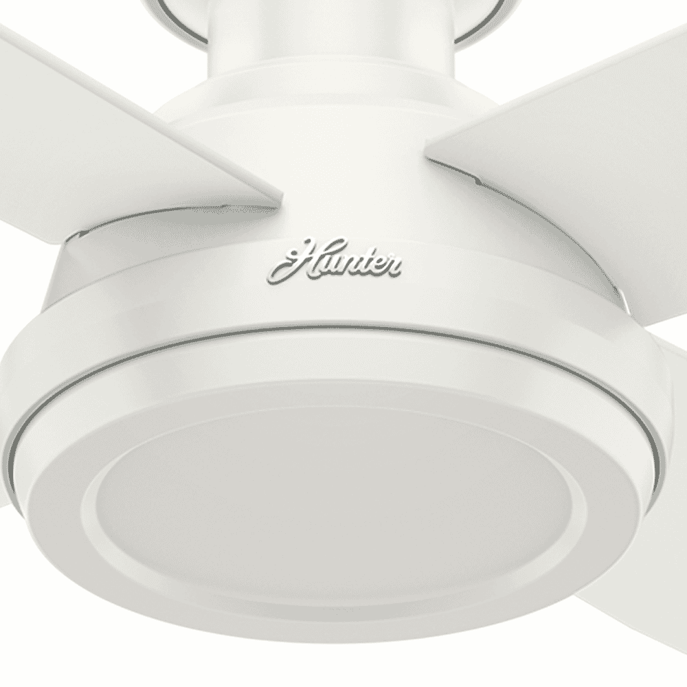 Hunter Dempsey Ceiling Fan - Thumbnail 4