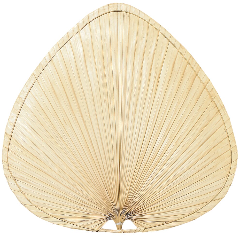 Fanimation Blades Palm 22" Wide Oval Palm Blades in Natural