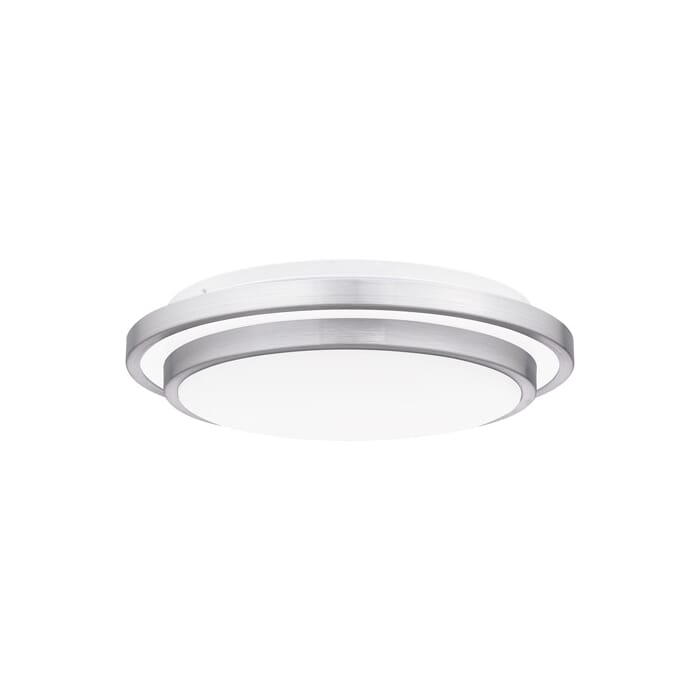 Quoizel Irving Ceiling Light in Brushed Aluminum Quoizel Irving Ceiling Light in Brushed Aluminum