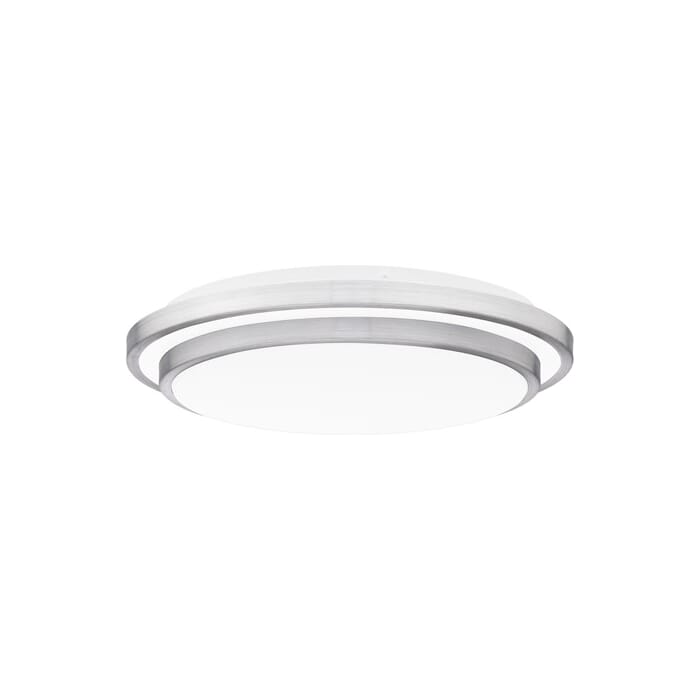 Quoizel Irving Ceiling Light in Brushed Aluminum Quoizel Irving Ceiling Light in Brushed Aluminum