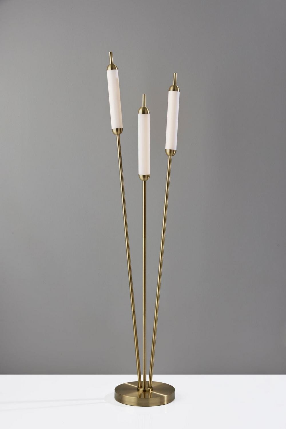 LED Floor Lamp
