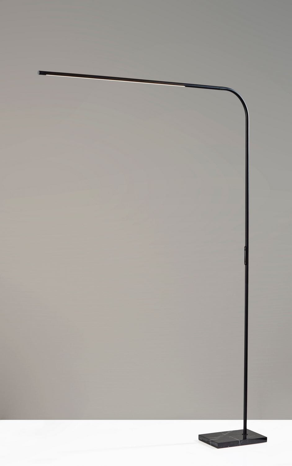 LED Floor Lamp