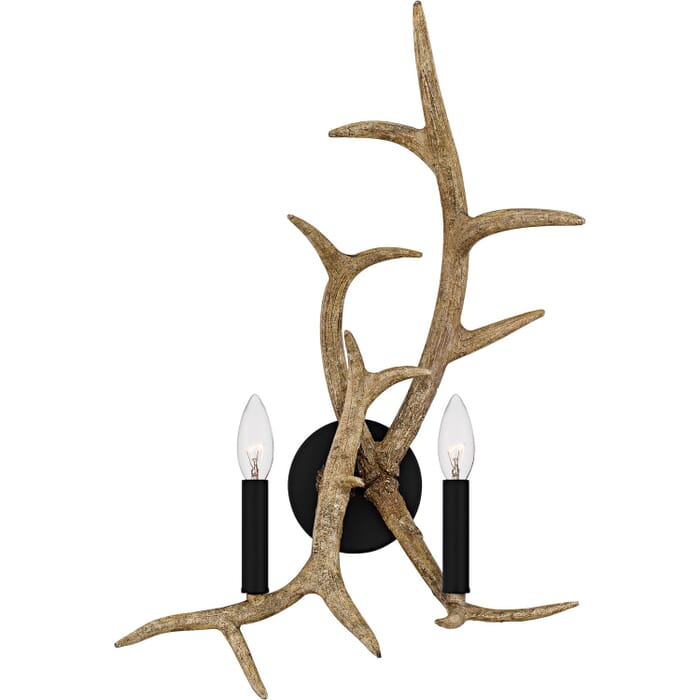 Two Light Wall Sconce Two Light Wall Sconce