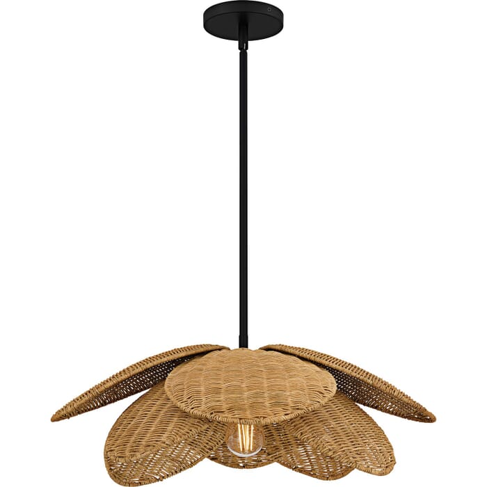 One Light Pendant One Light Pendant