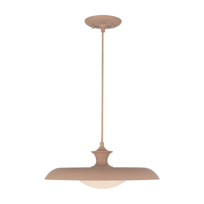 One Light Pendant One Light Pendant