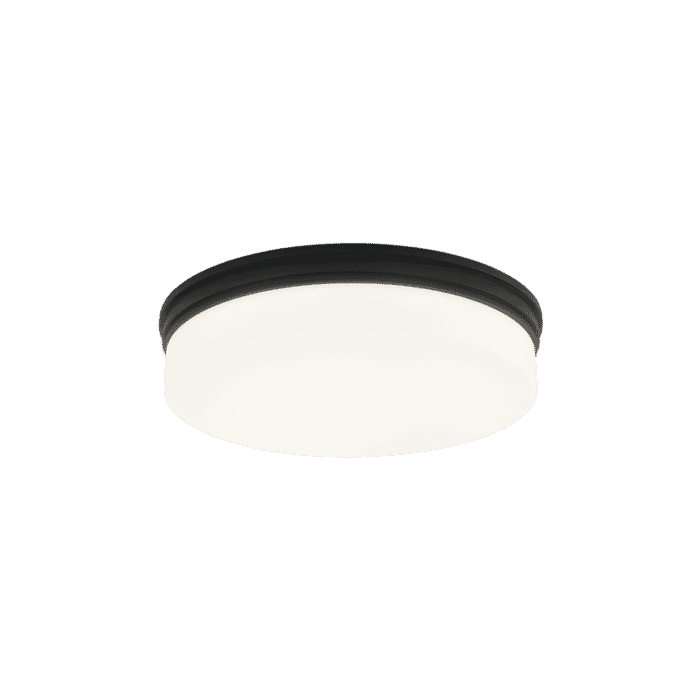 Matteo Circian 2-Light Ceiling Light In Matte Black Matteo Circian 2-Light Ceiling Light In Matte Black