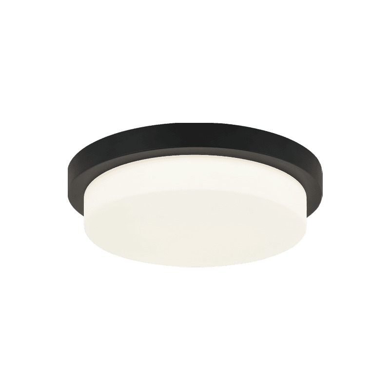 Matteo Durham 1-Light Ceiling Light In Matte Black