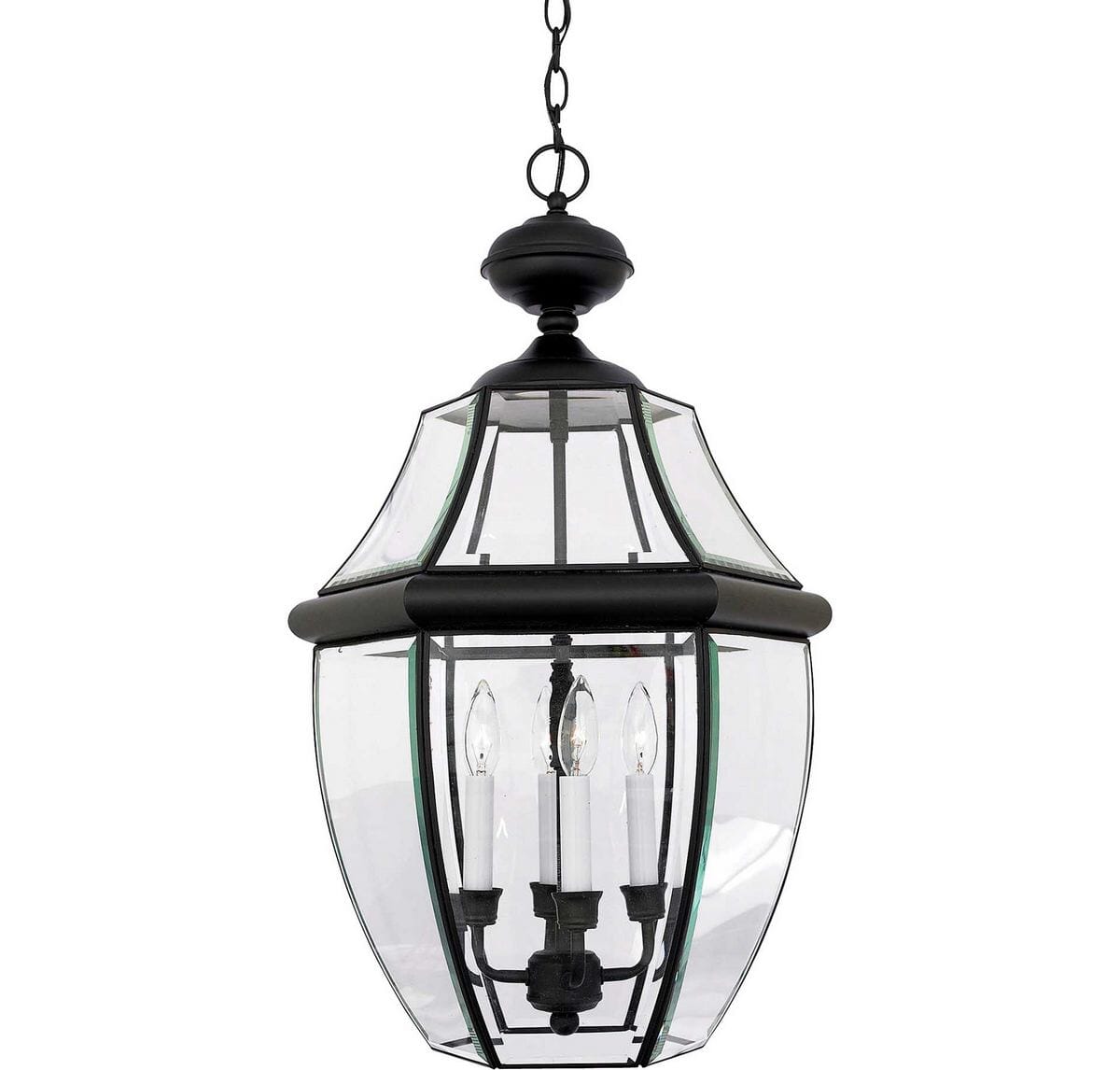 Newbury 4-Light Outdoor Hanging Lantern in Mystic Black