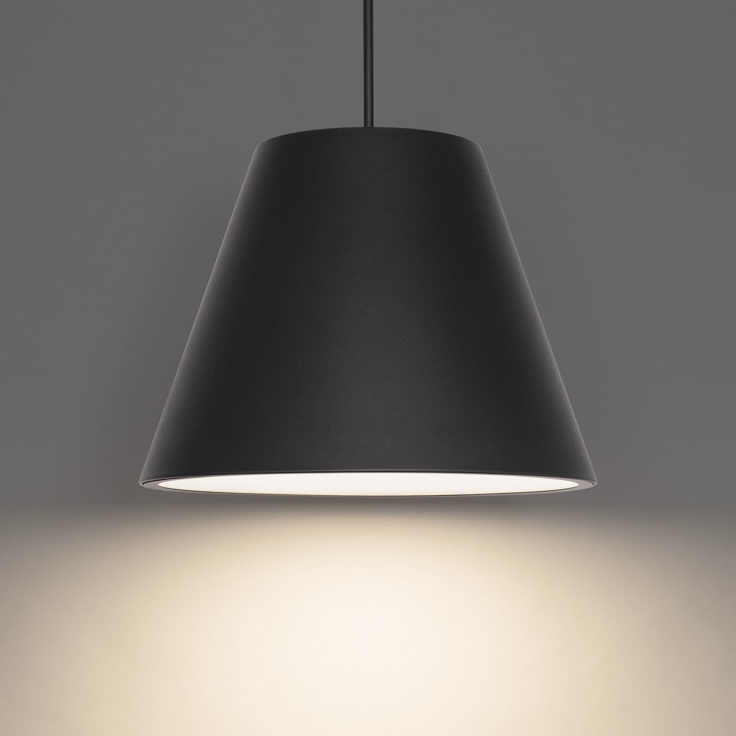 Black LED Outdoor Pendant from the Myla Collection