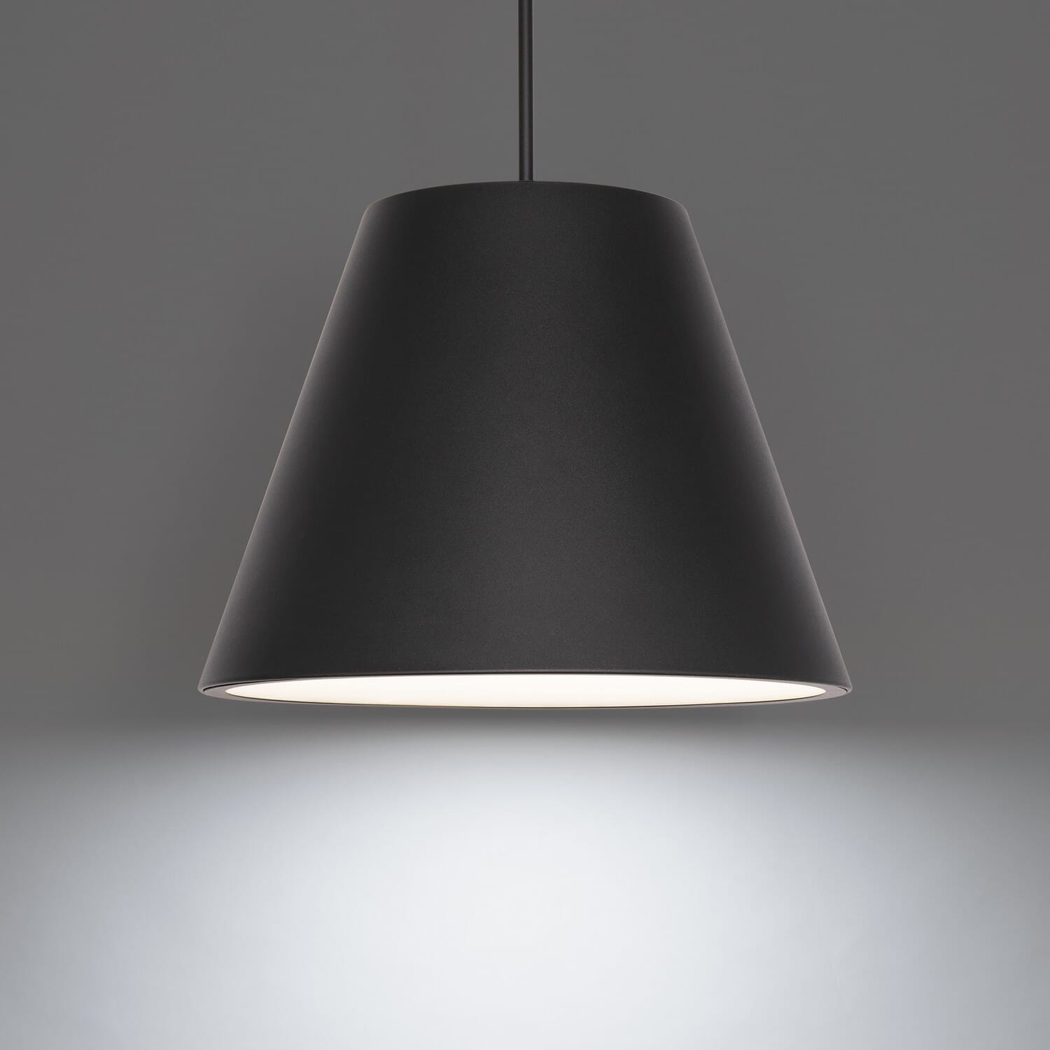 Black LED Outdoor Pendant from the Myla Collection