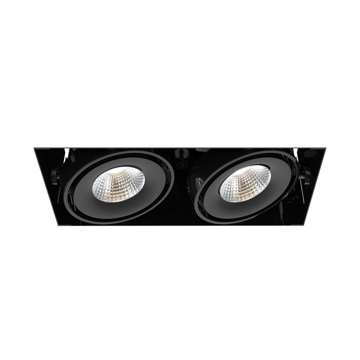 Eurofase Te612Led 2-Light Ceiling Light in Metal