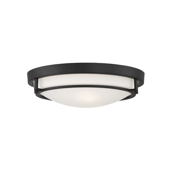 Trade Winds Felton 2-Light Flush Mount Ceiling Light in Matte Black Trade Winds Felton 2-Light Flush Mount Ceiling Light in Matte Black