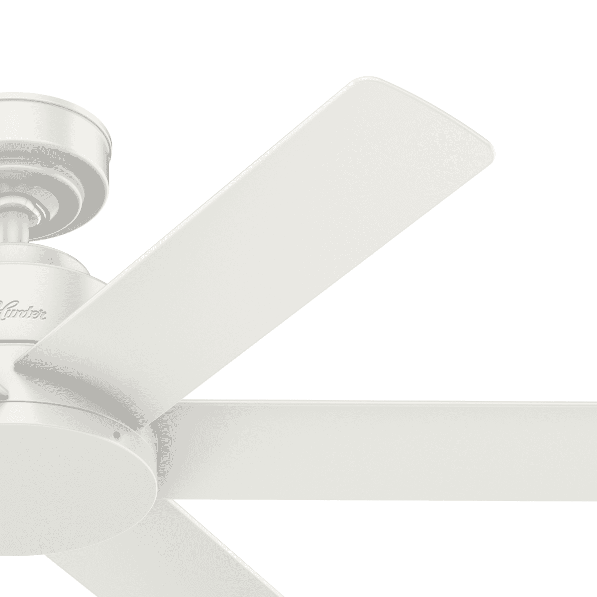 Hunter Kennicott 44" Indoor/Outdoor Ceiling Fan in Fresh White