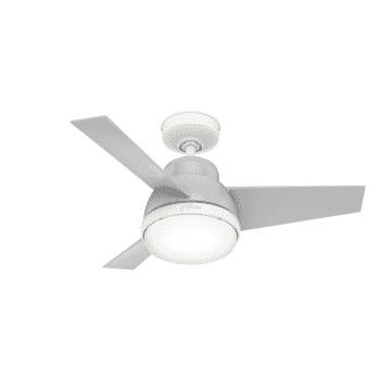 Hunter 2-Light 36" Indoor Ceiling Fan in Dove Grey