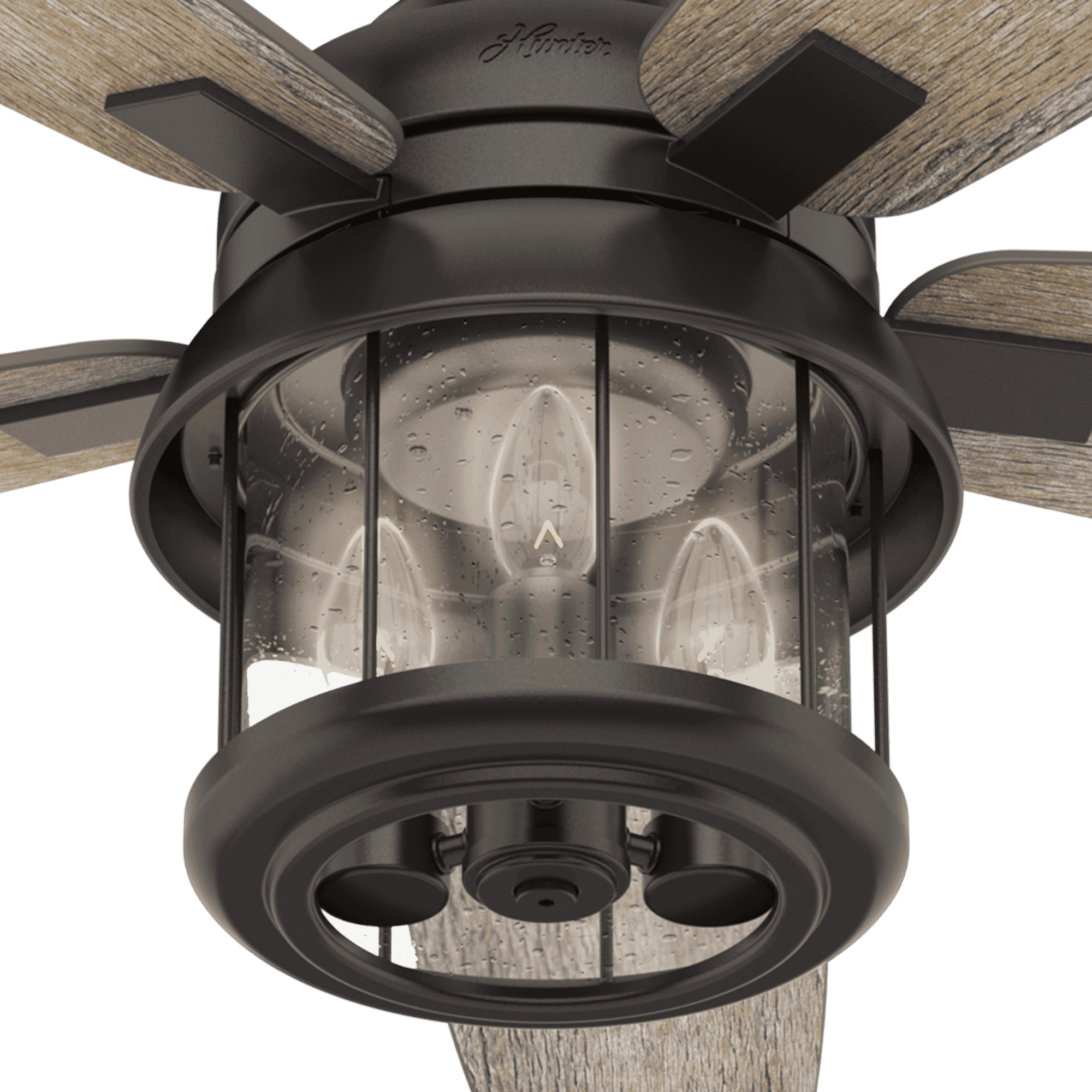 Coral Bay Indoor and Outdoor Ceiling Fan - Thumbnail 5