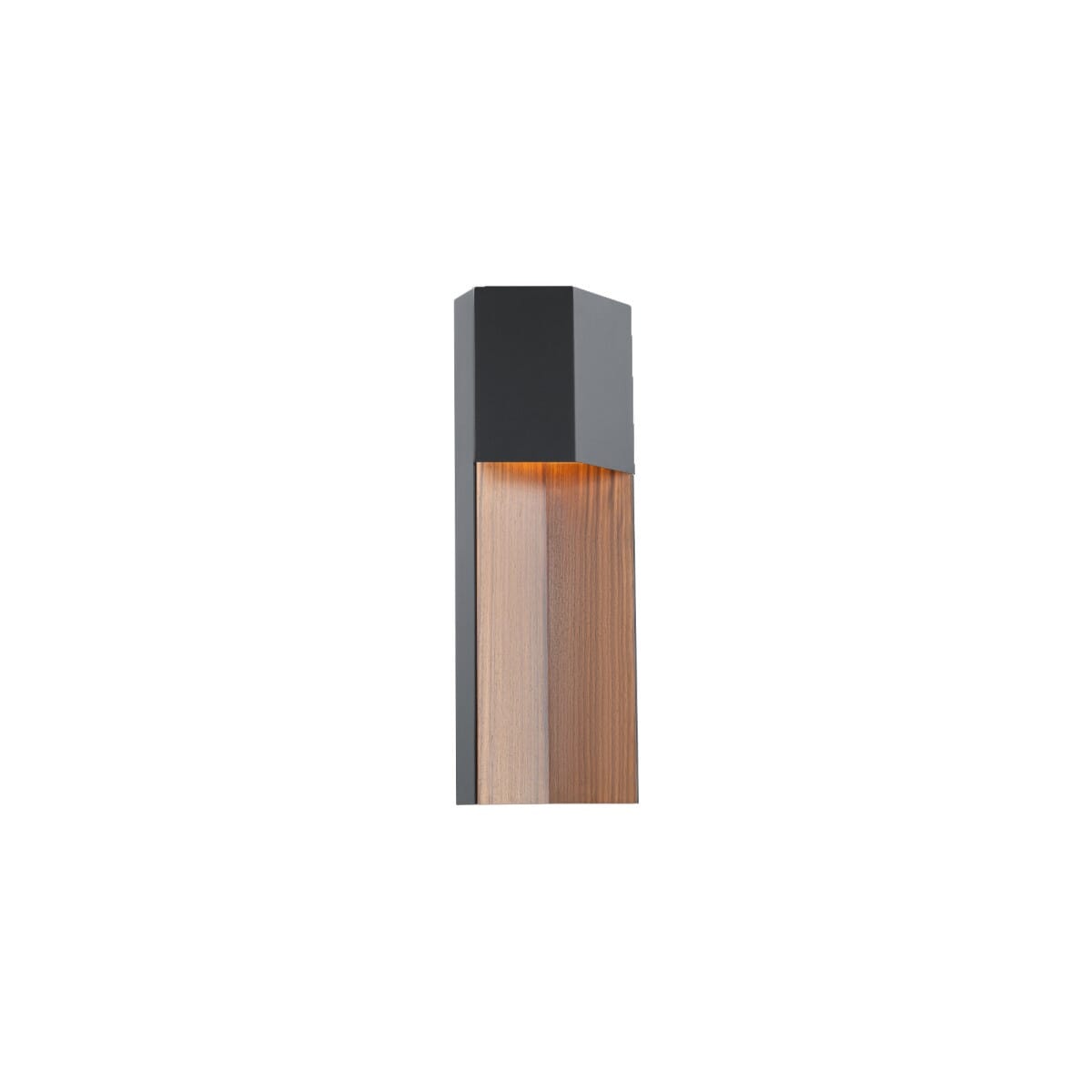 Black Dark Walnut LED Outdoor Wall Sconce from the Dusk Collection