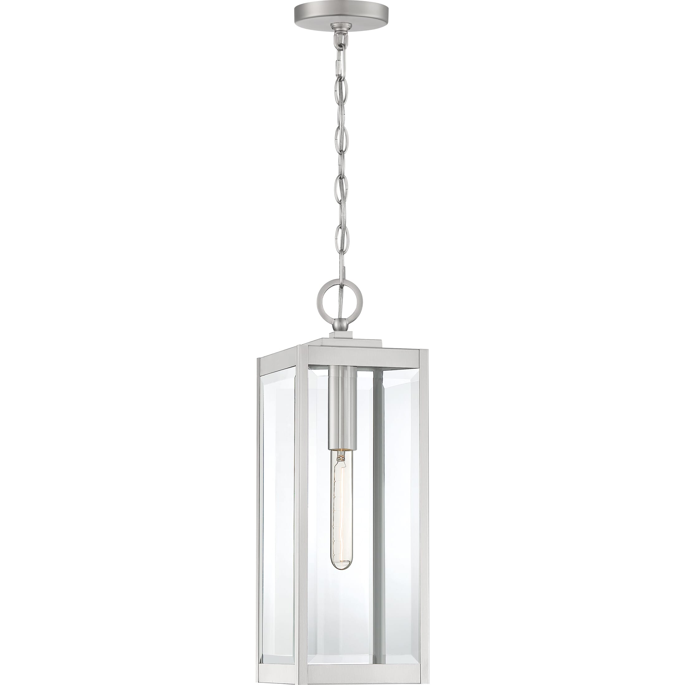 Westover 1-Light Outdoor Lantern in Stainless Steel