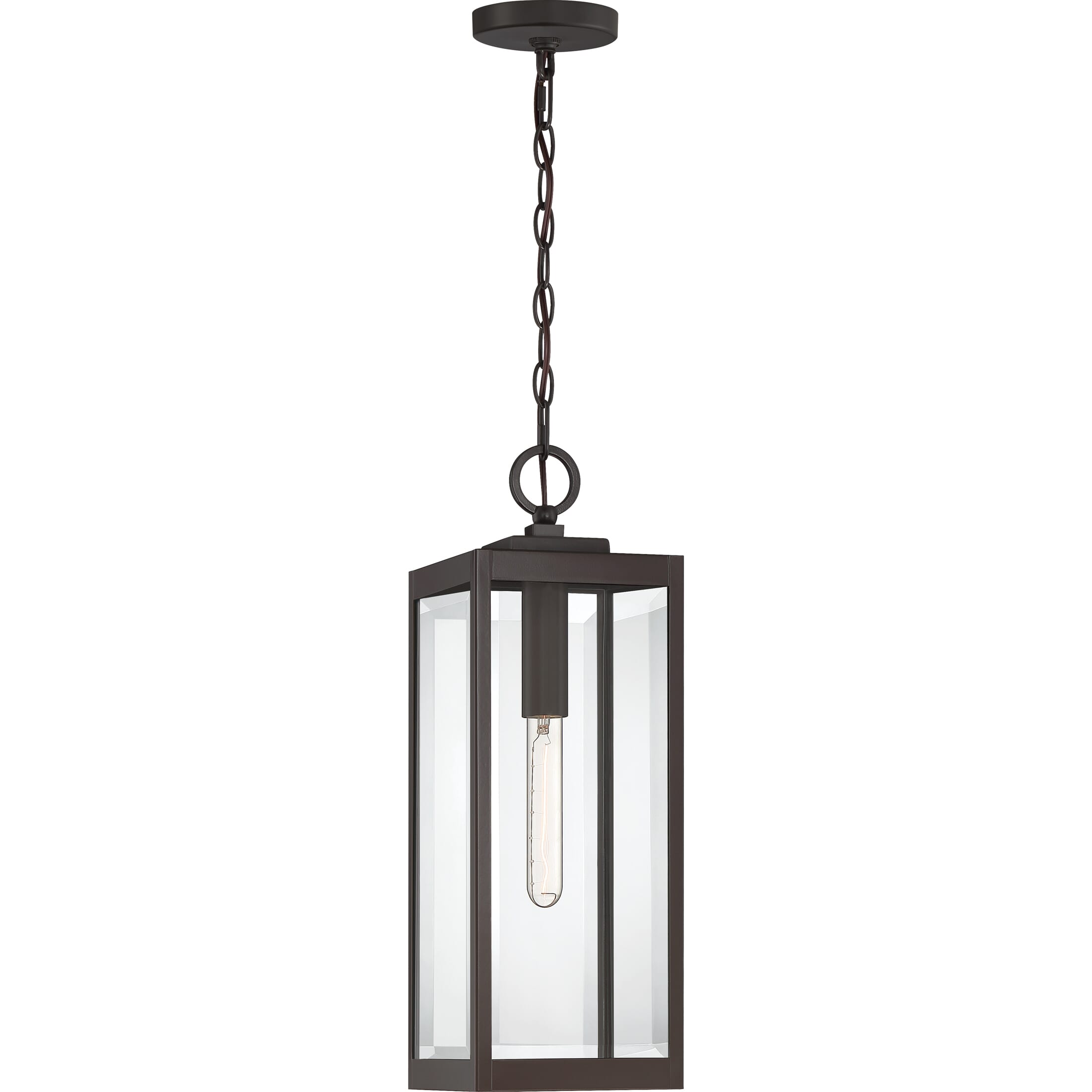 Westover 1-Light Outdoor Lantern in Western Bronze