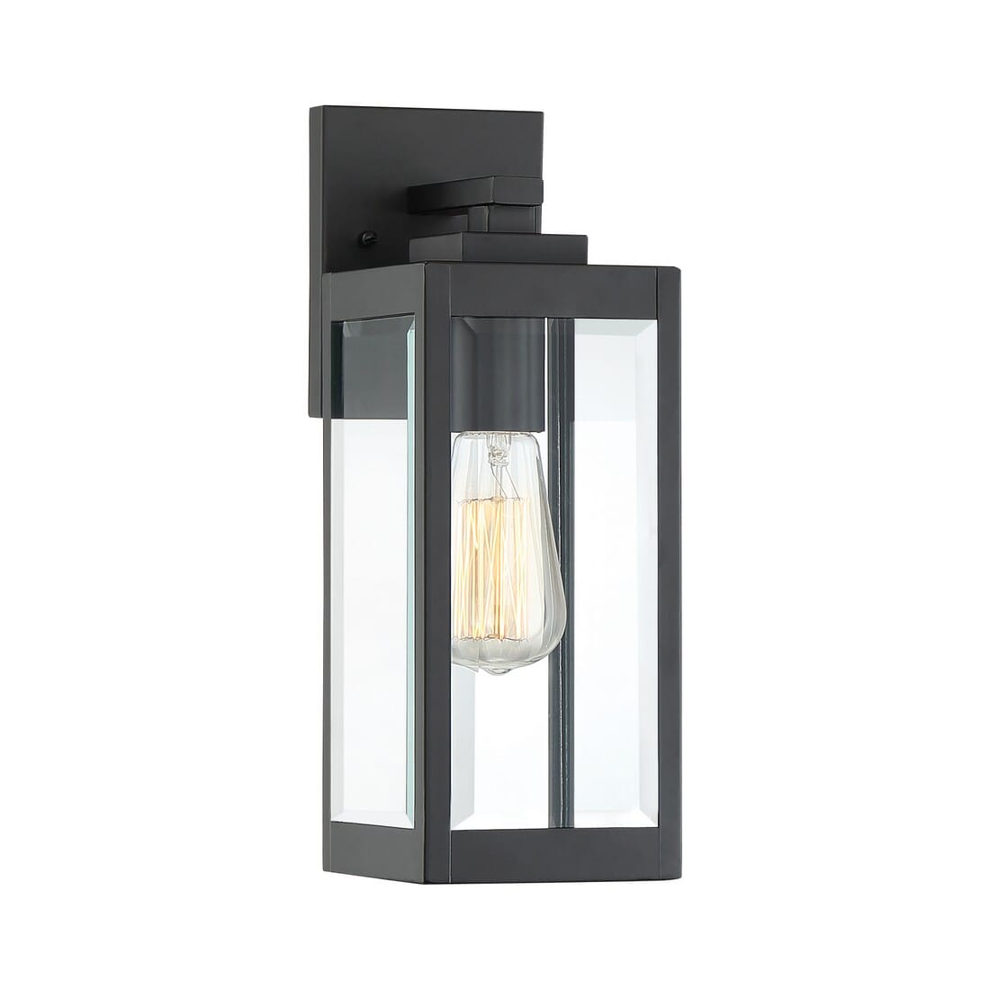 Westover 1-Light Outdoor Wall Lantern in Earth Black