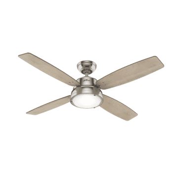 Hunter Wingate 2-Light 52" Indoor Ceiling Fan in Brushed Nickel