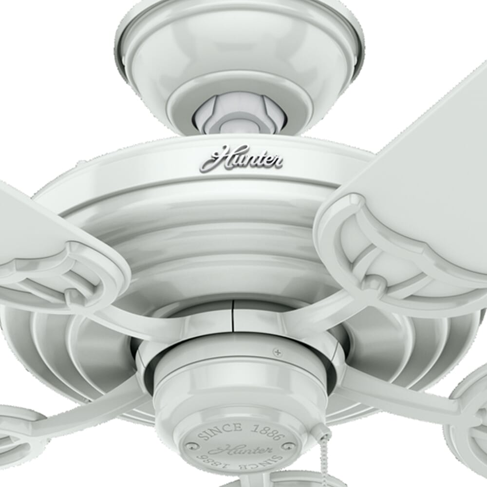 Bullitt main image 0