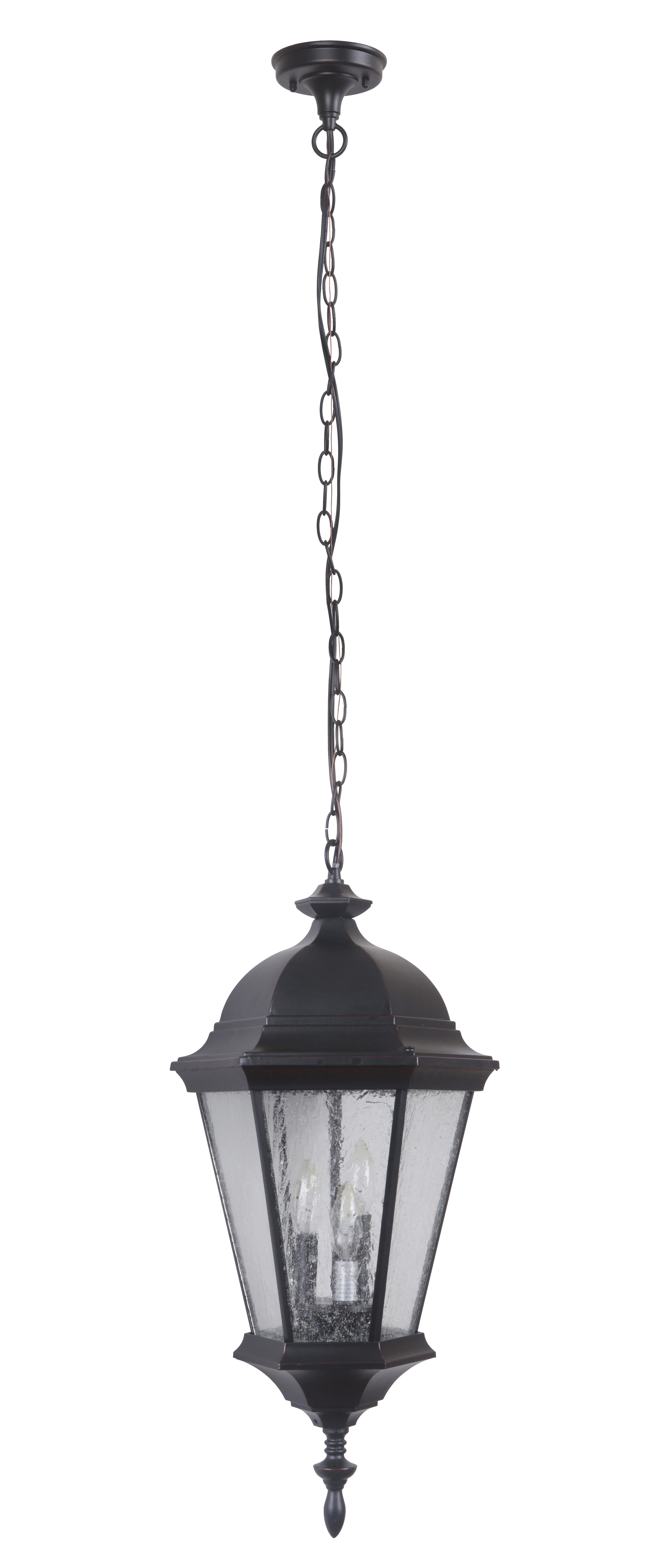 Craftmade Chadwick 29"" Outdoor Hanging Light in Oiled Bronze Gilded -  Z2921-OBG