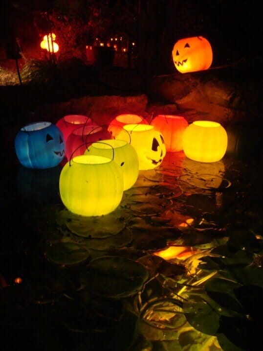 Put LED tealights in plastic jack-o-lantern buckets if you have a pond! More at LightsOnline.com Blog